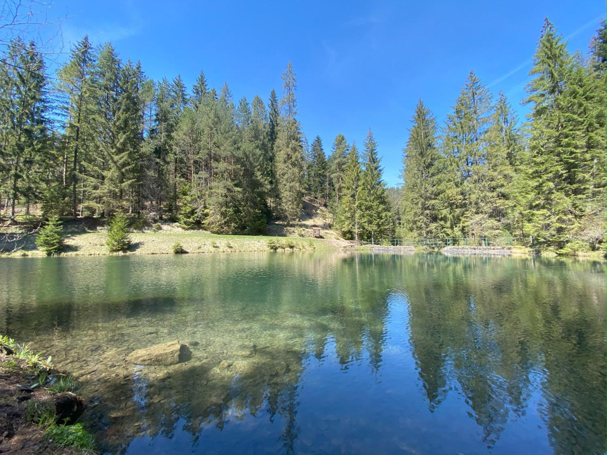 Penzion Pod Guglom Mlynky Dış mekan fotoğraf